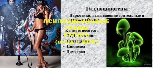 меф Вяземский