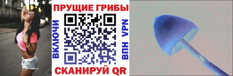 Купить где  Барабинск  Псилоцибиновые грибы мицелий 